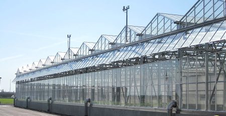 Modern greenhouse construction with light gauge steel framing machines. Sustainable cold formed steel structures designed for efficient steel framing in agriculture.