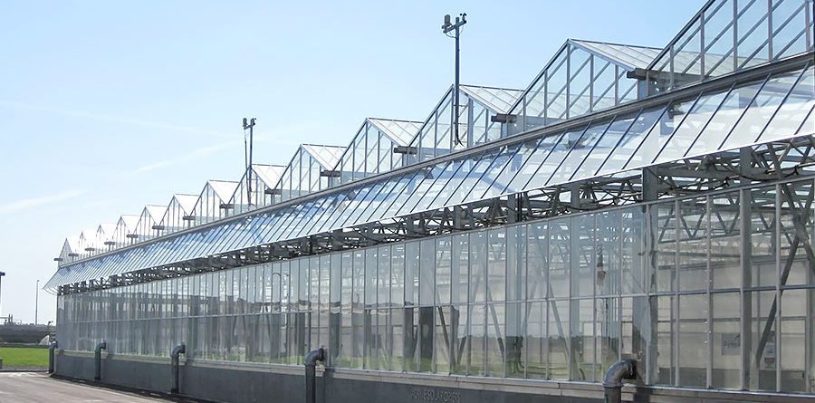 Modern greenhouse construction with light gauge steel framing machines. Sustainable cold formed steel structures designed for efficient steel framing in agriculture.