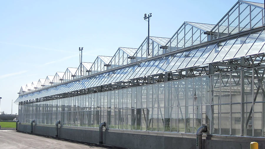 Modern greenhouse construction with light gauge steel framing machines. Sustainable cold formed steel structures designed for efficient steel framing in agriculture.