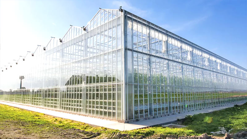 Modern industrial greenhouse construction with light gauge steel framing machines. Sustainable cold formed steel structures designed for efficient steel framing in agriculture.