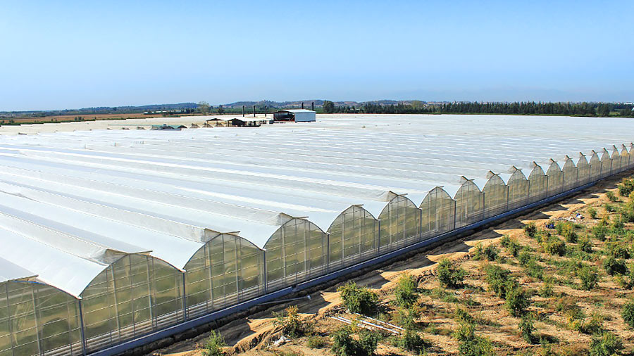 Modern industrial greenhouse construction with light gauge steel framing machines. Sustainable cold formed steel structures designed for efficient steel framing in agriculture.