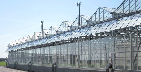 Rollform teknolojisiyle üretilmiş hafif çelik yapı sistemleriyle modern sera inşaatı — dayanıklı, modüler ve sürdürülebilir çelik çözümler.